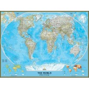 The World NGS Pussel 1000 bitar